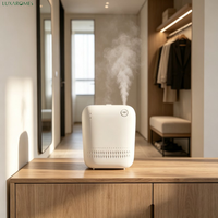 Diffuseur d'arômes haute efficacité AE109 150 ml mural à batterie, nébuliseur d'air froid pour hôtel, salle de bain, usine