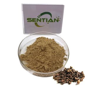 Kualitas tinggi ekstrak semanggi bubuk <span class=keywords><strong>Syzygium</strong></span> aromaterapi ekstrak cengkeh ekstrak - Product Image 1