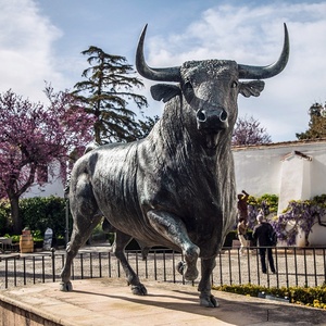 Statua di Toro in Bronzo per Decorazione Giardino Esterno - Product Image 5