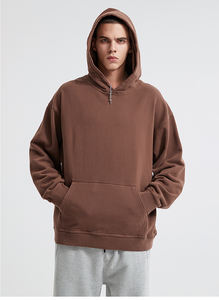 Oem 500 Gsm Logo Imprimé pour Hommes Marque Privée Sweats à Capuche Personnalisés Poids Lourd 100% Coton Unisex Plain Essential Oversize Hoodies - Product Image 3
