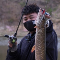 Topfishing Shengwu Imprimé Couteau À Mouche Tremblant Naufrage Appât Dur Artificiel En Acier Inoxydable Crayon Leurre Ultra-Long Casting Crochets