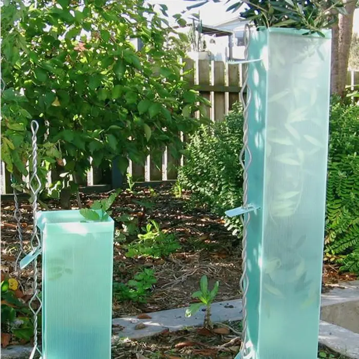 Vite Wrap Custom in plastica albero guardia piante protettore per alberi, piante protezione da animali foglio ondulato riciclabile