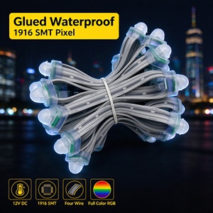 Guirlande lumineuse publicitaire LED en cristal pour jardin avec lumières étanches WS1916 5V/12V pour décorations de fêtes - Product Image 1