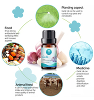 Huile Essentielle Naturelle en Gros, Extrait d'Ail Pur de Qualité Alimentaire, Huile d'Ail 30ml pour la Cuisine