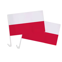 Drapeau national de la Tunisie à clipser sur la vitre de voiture, drapeau décoratif à suspendre, drapeau de voiture monté sur véhicule pour supporters nationaux