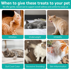 Worafy OEM Factory Exports - Golosinas Masticables para Gatos con Prevención de <span class=keywords><strong>Pulgas</strong></span> y Garrapatas, 100 g, Sabor a Pollo, Alimento Seco para Gatos de Todas las Edades - Product Image 5