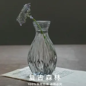 Prodotti di soccorso europei disposizione fiori dispositivo fiore idroponico pianta contenitore bottiglia mini vaso di vetro