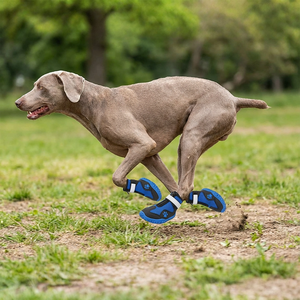 Chaussures <span class=keywords><strong>pour</strong></span> <span class=keywords><strong>chien</strong></span> de luxe, solides, respirantes, en maille, antidérapantes, réfléchissantes, <span class=keywords><strong>pour</strong></span> toutes les saisons, chaussures de loisirs <span class=keywords><strong>pour</strong></span> animaux de compagnie - Product Image 5