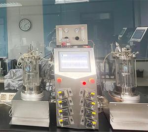 Bioréacteur, Fermenteur de laboratoire, Fermenteur biologique, Équipement de fermentation, Cuve de fermentation BLBIO-GC - Product Image 3