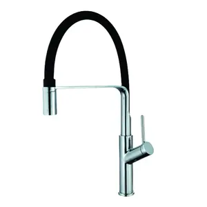 Modern Telescopic Rotating Vegetal Kitchen Sink Faucet Basin Faucets for Efficient Vegetable Washing and Drainage