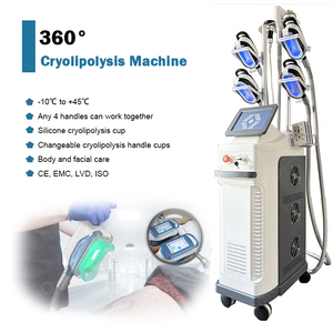 Meilleure <span class=keywords><strong>machine</strong></span> de <span class=keywords><strong>cryolipolyse</strong></span> 360, appareil de <span class=keywords><strong>cryolipolyse</strong></span> 360, meilleure <span class=keywords><strong>machine</strong></span> de <span class=keywords><strong>cryolipolyse</strong></span> pour le remodelage corporel par congélation des graisses - Product Image 6