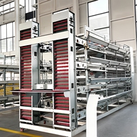 Cage à batterie pour poulets de chair de type H, 3 niveaux, avec plancher en plastique, alimentation et abreuvement automatiques, courroie de fumier, cage d'élevage OEM à alimentation automatique