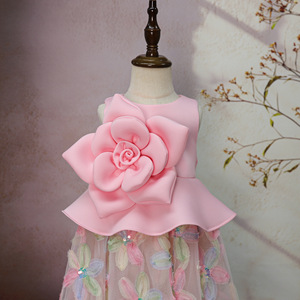 Gaun Bunga Mewah Khusus Warna Pink untuk Ulang Tahun Pertama, Gaun Pesta Tulle Putri dengan Bunga 3D untuk Pemotretan Bayi dan Pertunjukan - Product Image 2