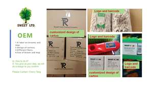 Escoba de Plástico para Piso, Diseño Moderno, Cabezal de Escoba Suave para Exteriores, Uso Doméstico, Venta al Por Mayor - Product Image 6