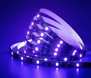 Bande LED flexible RGB 5050 DC12V/24V, garantie 3 ans, idéale pour les petites formes décoratives - Product Image 2