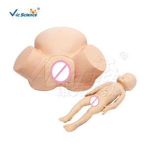 Modèle avancé de formation en sage-femme ; modèle de formation aux compétences médicales - Product Image 5