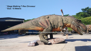 Giai Đoạn Hiển Thị 10 Mét Tyrannosaurus <span class=keywords><strong>Rex</strong></span> Di Chuyển Mô Hình Khủng Long Động Vật Nhà Máy Bán Hàng Trực Tiếp - Product Image 6