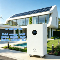 51.2Vdc 100Ah Wall Mount ESS Disetujui Australia 25kWh IP20 6P Paralel CAN RS485 untuk Inverter Rumah