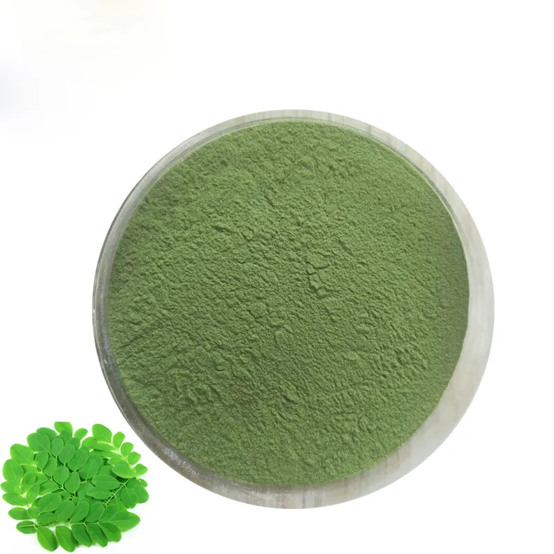 Fornitura di fabbrica estratto di Moringa oleifera per uso alimentare in polvere estratto di foglie di Moringa puro in polvere