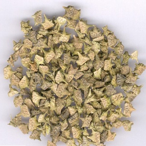 Hongda Supplyナチュラル90% サポニンTribulusTerrestrisエキスパウダー - Product Image 5