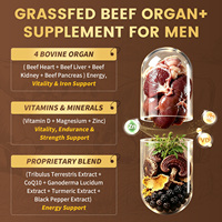 Complément GMP pour la Vitalité Masculine : Organes de Bœuf Nourri à l'Herbe 700mg (Cœur, Foie, Rein, Pancréas), Tribulus, CoQ10, Reishi, Zinc, D3