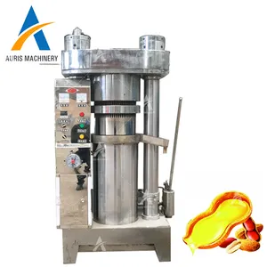 Automatic Soya Beans Oil Extractor Hydraulic Almond Sunflower Walnuts Peanut Sesame Oil Press Machine