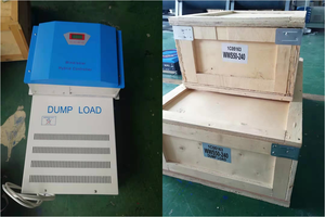 ESG Горячая цена ветряной турбины 10 кВт/цена ветрогенератора 220 В с горизонтальной осью - Product Image 5