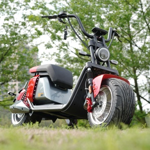 Patinete eléctrico de rueda no plegable, rueda <span class=keywords><strong>mober</strong></span> más barata, accesorio de calle, bolsa - Product Image 5