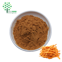 Poudre d'extrait de Cordyceps Militaris de qualité A en vrac, poudre de Cordycepine, emballée sous vide en fût