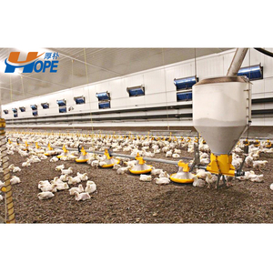 Gà tây gia cầm nhà/gà trang trại đổ - Product Image 3