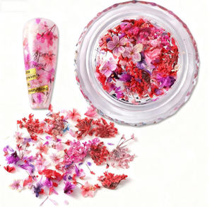 <span class=keywords><strong>Flores</strong></span> <span class=keywords><strong>Secas</strong></span> <span class=keywords><strong>en</strong></span> 1 Frasco para Manualidades con Resina, Arte de <span class=keywords><strong>Uñas</strong></span>, Mezcla de <span class=keywords><strong>Flores</strong></span> Pequeñas, Mini <span class=keywords><strong>Flores</strong></span> para Decoración de <span class=keywords><strong>Uñas</strong></span>, Accesorios de Verano para <span class=keywords><strong>Uñas</strong></span> - Product Image 5