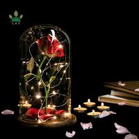 Lampu LED Mawar Ajaib Ramah Lingkungan Ukuran Sesuai Pesanan Terinspirasi Beauty and the Beast dengan Kubah Kaca, Bunga Merah, Kelopak Bunga yang Rontok, dan Kayu