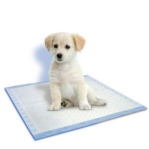 Couleur et taille personnalisées, LOGO personnalisé, couches absorbantes confortables pour animaux de compagnie, couches jetables pour chiens et chats - Product Image 5