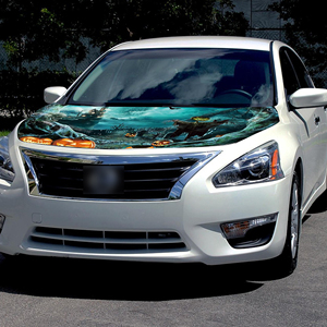 Cubierta Personalizada para Capó de Coche de Halloween, Tamaño Ajustable, Bandera Nacional, Fútbol, Béisbol, Baloncesto, México, Estados Unidos - Product Image 2