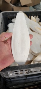 (VENTE CHAUDE 2024) -Os de seiche de haute qualité et de qualité supérieure/bon prix pour la vente/exportation du Viet Nam - Product Image 2