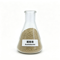 Culture de démarrage microbienne Acetobacter 10 milliards UFC/g, poudre de bactéries acétifiques dédiée à la fermentation de vinaigre
