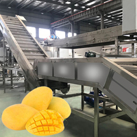 Machine de production et de fabrication de compote de mangues fraîches