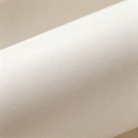Papiers de transfert par sublimation personnalisés 29 30 35 60 100 g/m² Rouleau d'impression numérique thermique