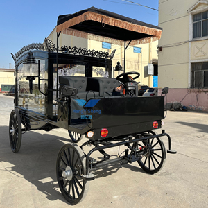 Fabricantes de Carrozas Fúnebres, Carroza Fúnebre Eléctrica, Carroza Fúnebre Clásica en Venta - Product Image 1