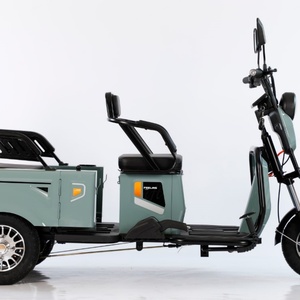 Triciclo Eléctrico Personalizable de 3 Ruedas para Adultos con Potencia de 500W, Carrocería Abierta, Certificado EEC - Product Image 3