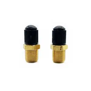 Rilevamento della pressione della valvola del pneumatico del vuoto del motociclo 1/4 NPT 1/8 M10 * 1 stelo della valvola Schrader in ottone filettatura 8 v1