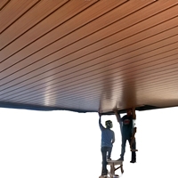 Le plafond linéaire certifié CE couvre de tuiles la conception suspendue fantastique de plafond de bande en métal élégant