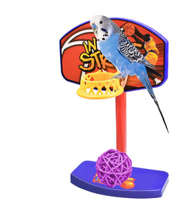 <strong>Wholesale</strong> Small <strong>Parrot</strong> Basketball Stand <strong>TOY</strong> - Product Image 2
