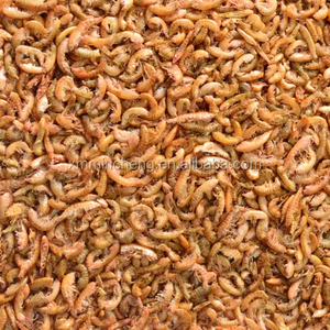 <span class=keywords><strong>Gammarus</strong></span> Seco al Sol al Mejor Precio - Product Image 1