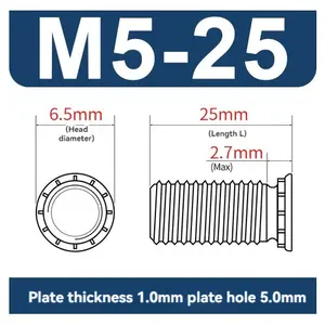 FH-M5 * 25 Remise sur grande quantité Gamme complète de modèles Vis à rivets zingués en acier au carbone