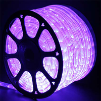 Vente en gros IP65 LED étanche néon corde bande lumineuse personnalisée bricolage découpable intérieur/extérieur décoration de vacances couleur blanche