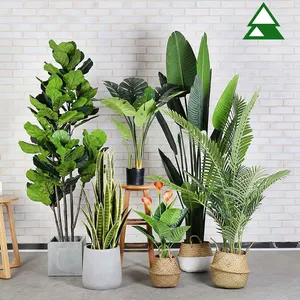 Paradise Palm Outdoor Indoor Home Ornamental Small Large Big Potted Plante tree Artificial kwai Palm Tree Plants