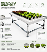 Grands bancs roulants en ABS pour hydroponie et pépinière, système d'irrigation et de drainage par flux et reflux avec capacité d'arrosage illimitée