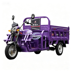Long Distance Enclosed Electric Trike Heavy Load <b>Passenger</b> Vehicle - Product Image 1