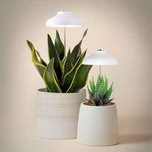 Phát triển planter-Tabletop trắng ô mini phát triển ánh sáng trong nhà Herb phát triển Kit LED phát triển đèn trong nhà Vườn thực vật phát triển ánh sáng - Product Image 3